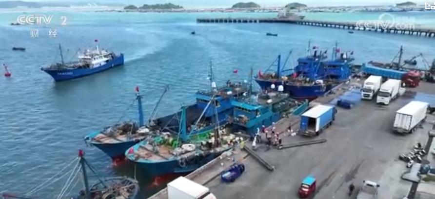 鱼满舱、芡实肥、莲蓬香！秋收正当时多地奏响“陆海丰收交响曲”